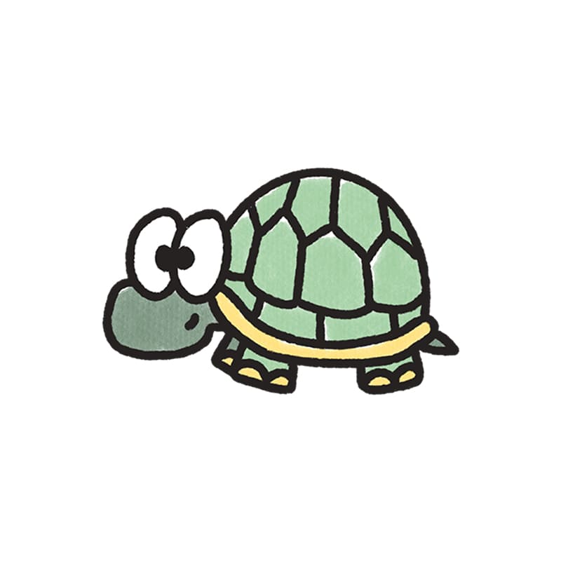 5583-烏龜
