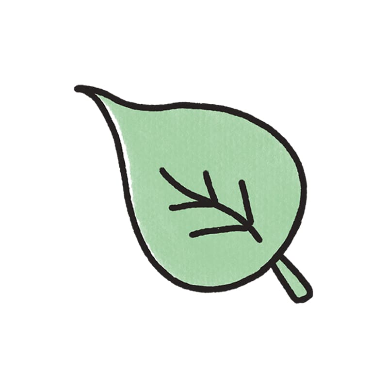 5823-葉子