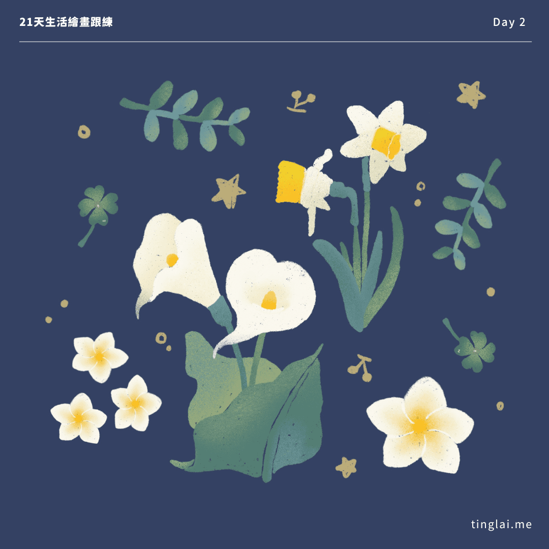 Procreate 生活繪畫跟練課 Day 1 作業 - 花圈